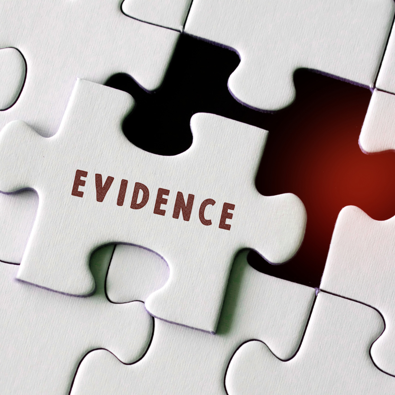 Evidence Organization